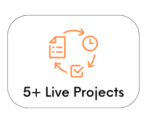 Live Projects